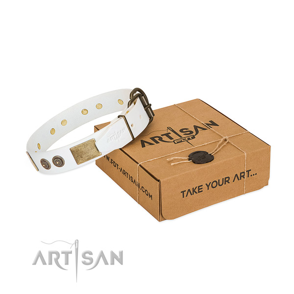 Corrosion resistant hardware on natural genuine leather dog collar for fancy walking