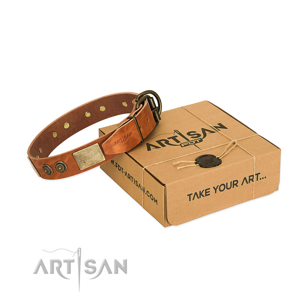 Rust resistant hardware on leather dog collar for fancy walking
