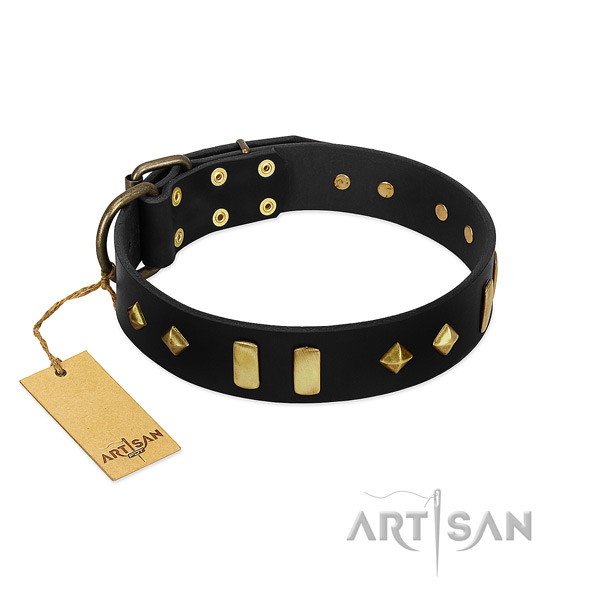 Genuine leather dog collar with awesome decorations