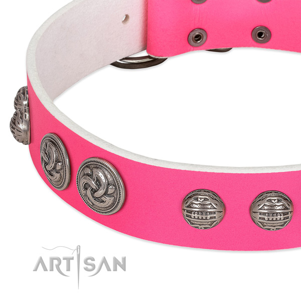 Rust resistant traditional buckle on full grain leather collar for walking your dog