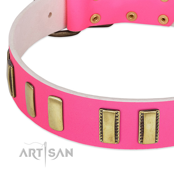Top notch full grain leather dog collar with adornments for comfy wearing