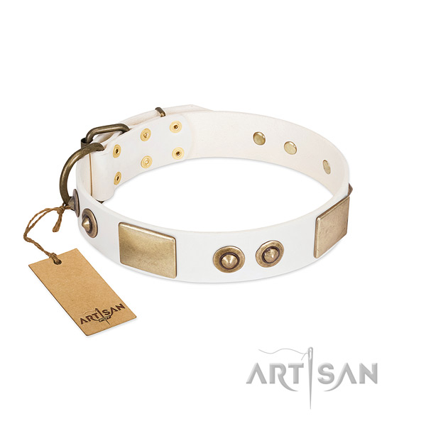 Reliable fittings on full grain leather dog collar for your pet