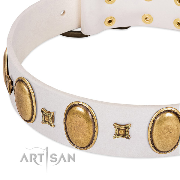 Leather dog collar with corrosion resistant D-ring for stylish walking