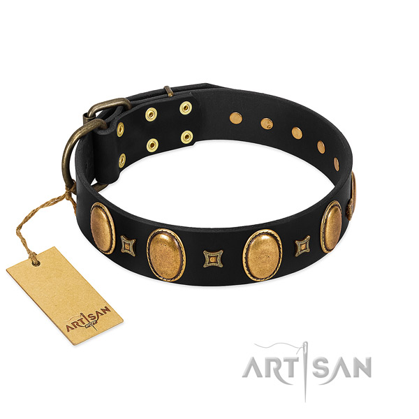 Genuine leather dog collar with incredible embellishments for handy use