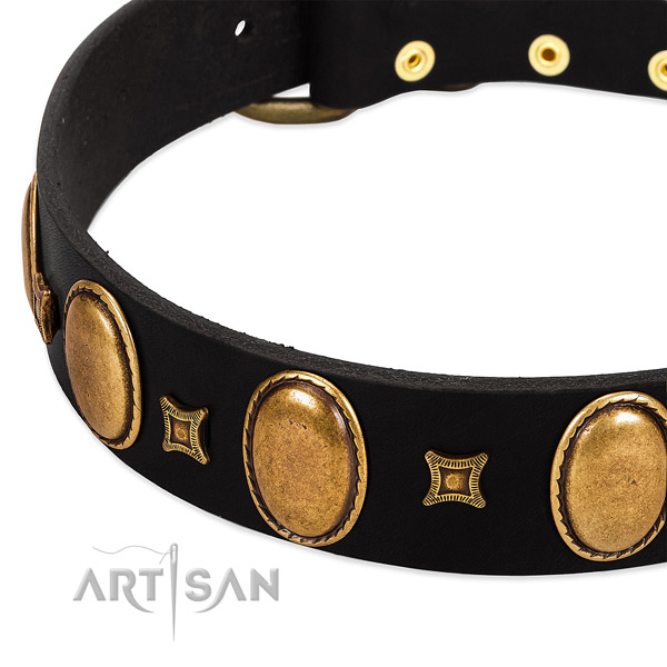 Full grain leather dog collar with decorations for comfortable wearing