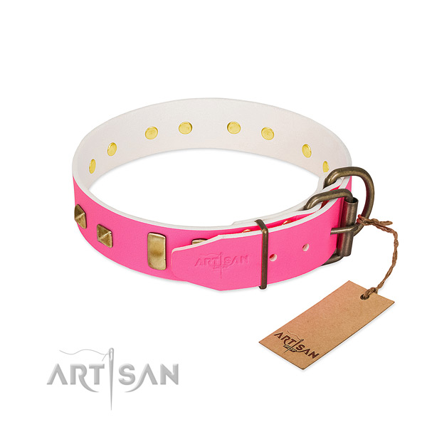 Strong D-ring on stylish walking collar for your pet