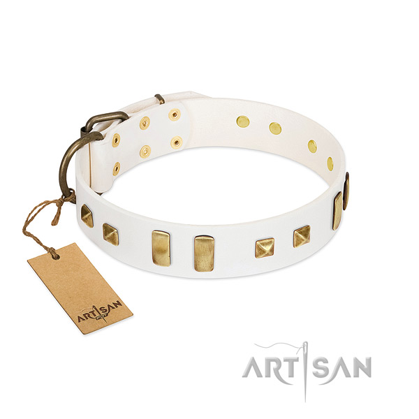 Daily use dog collar of genuine leather