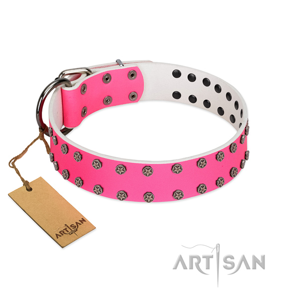 Comfy wearing full grain leather dog collar with fashionable adornments