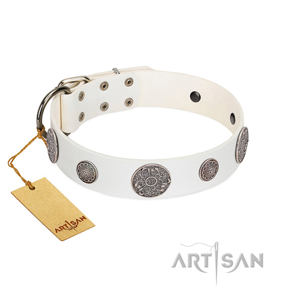 Stunning full grain leather collar for your attractive pet