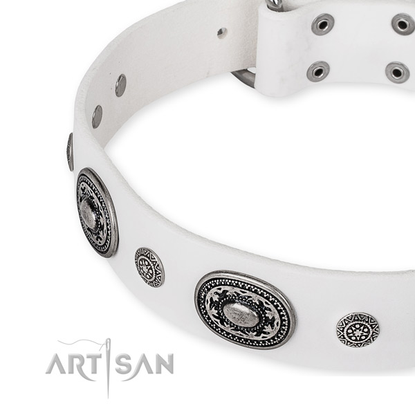 Soft full grain natural leather dog collar handcrafted for your lovely dog
