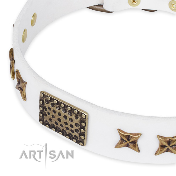 Natural genuine leather collar with reliable D-ring for your attractive pet