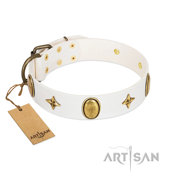 High quality genuine leather collar with exceptional decorations for your dog