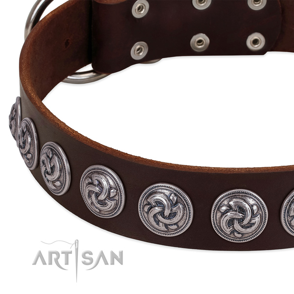 Exquisite full grain leather collar for your pet stylish walking