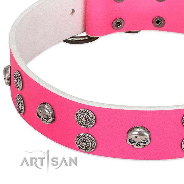 Soft to touch natural leather dog collar with unique studs