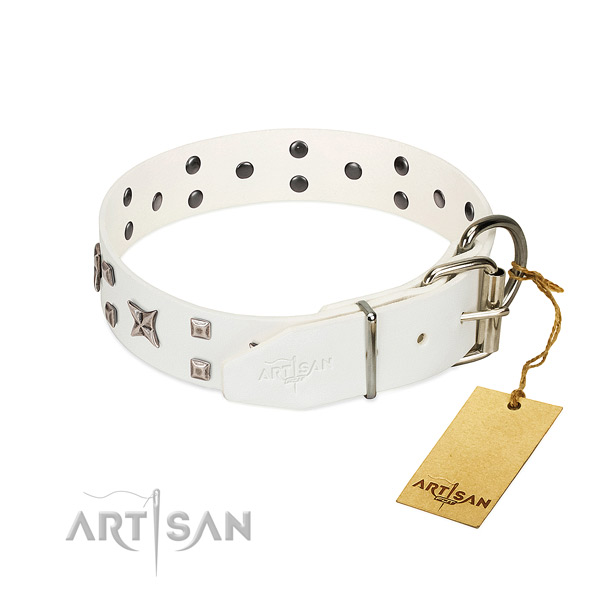 Gentle to touch full grain genuine leather dog collar with awesome decorations