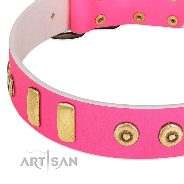 Full grain leather dog collar with studs for walking