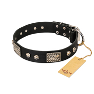 "Pirates Gold" FDT Artisan Black Leather Amstaff Collar with Old Silver Look Plates and Skulls