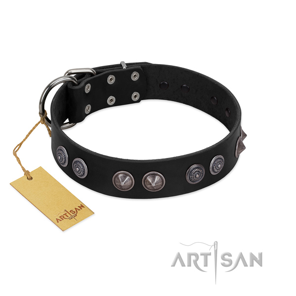 Soft to touch full grain natural leather dog collar with decorations