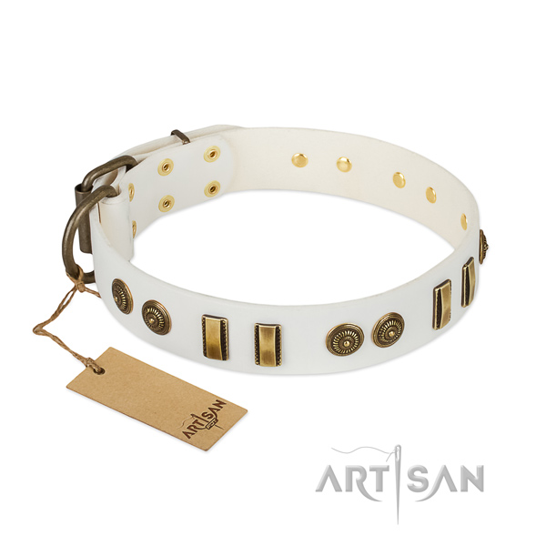 Reliable D-ring on natural leather dog collar for your canine