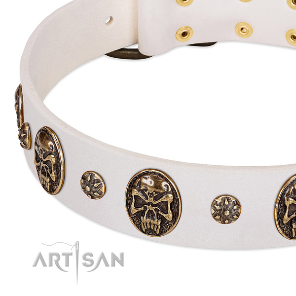 Corrosion resistant studs on full grain genuine leather dog collar for your dog