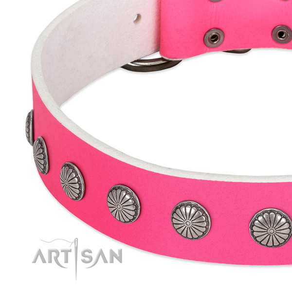 Soft to touch full grain natural leather dog collar with embellishments for your impressive four-legged friend