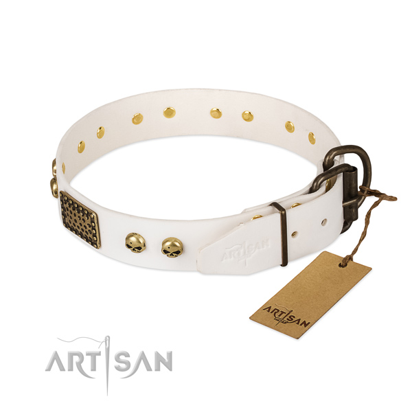 Easy wearing full grain natural leather dog collar for walking your doggie