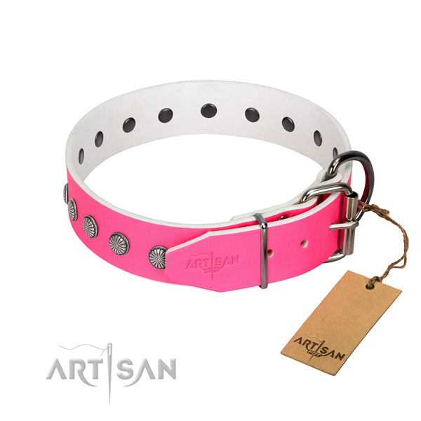 Quality leather dog collar with adornments for your lovely four-legged friend