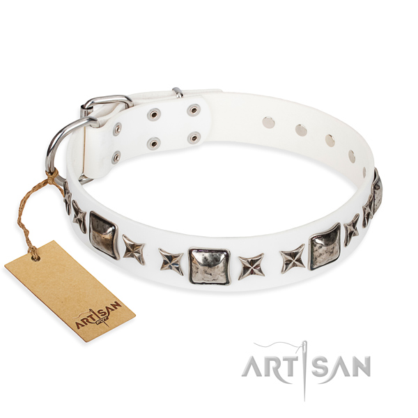 Stylish walking dog collar of top quality full grain leather with studs