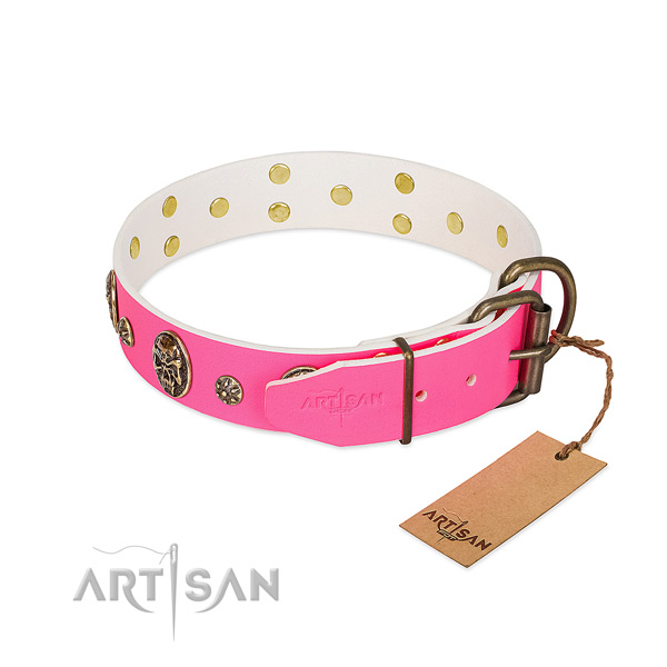 Rust resistant buckle on natural leather collar for daily walking your four-legged friend
