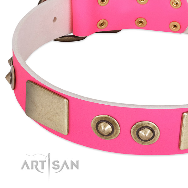 Corrosion resistant decorations on genuine leather dog collar for your dog