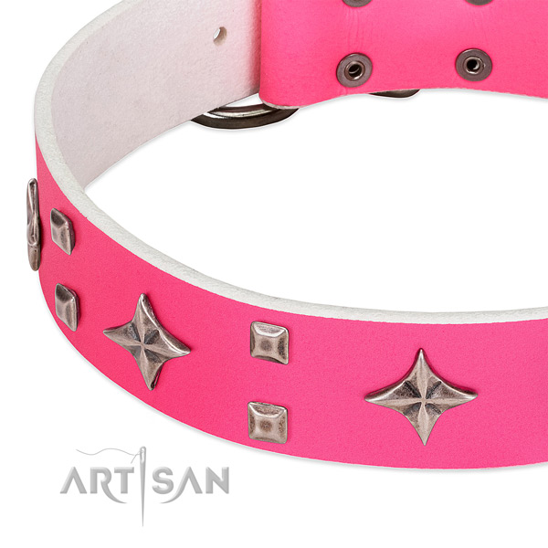 Everyday walking top notch full grain natural leather dog collar with decorations