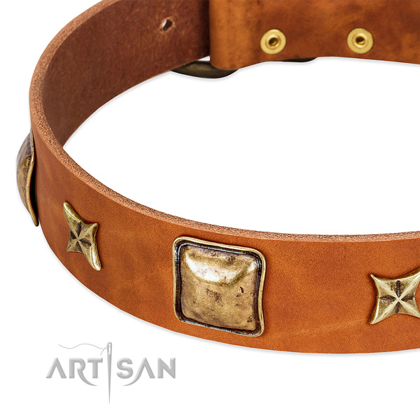 Rust-proof buckle on full grain genuine leather dog collar for your pet