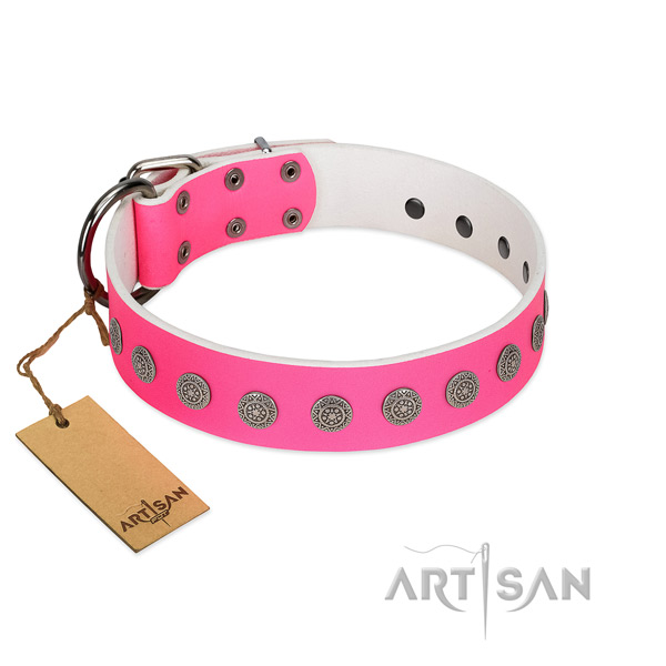 Stylish design adornments on full grain leather collar for daily walking your pet