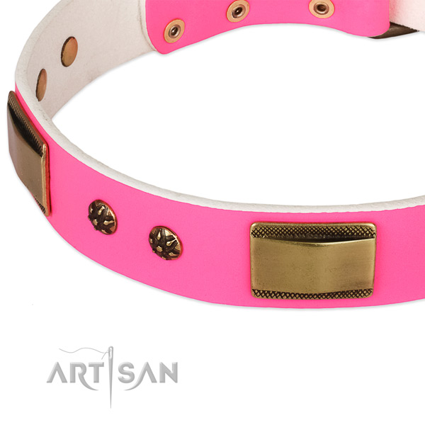 Corrosion resistant fittings on leather dog collar for your doggie