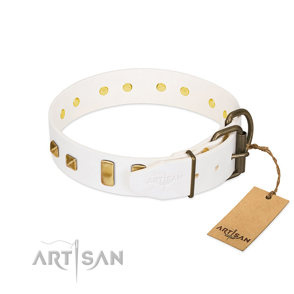 Reliable leather dog collar with strong buckle