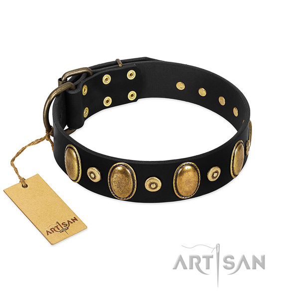 Corrosion proof buckle on dog collar for easy wearing