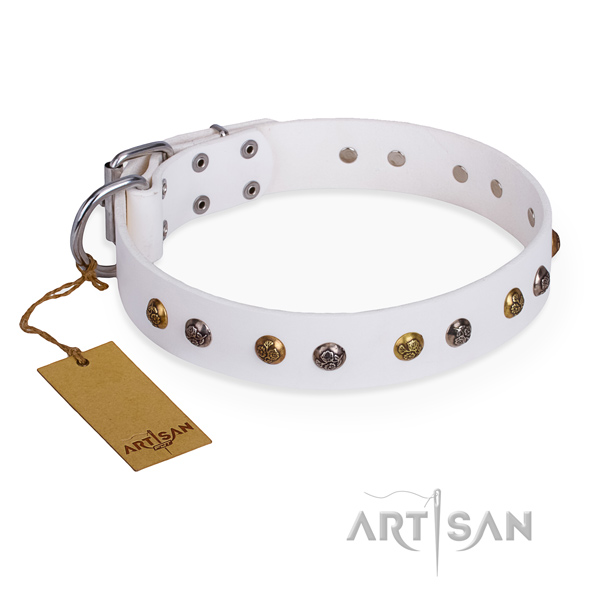 Walking easy to adjust dog collar with rust-proof fittings