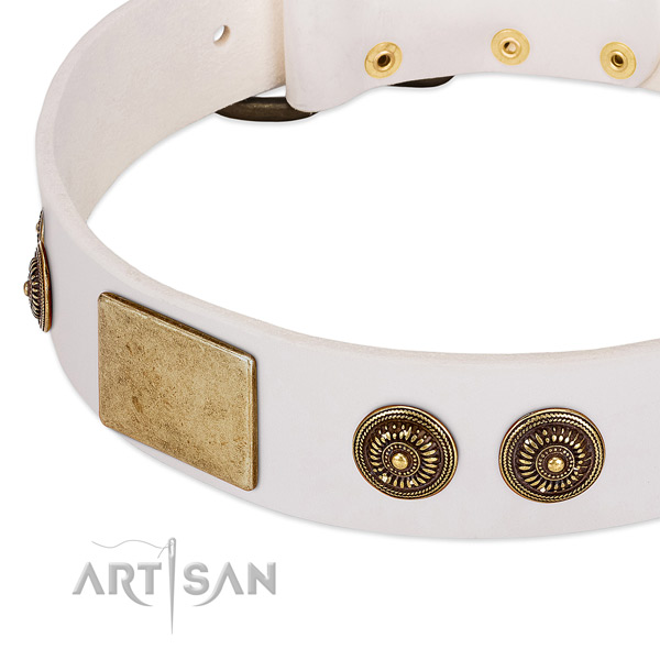 Comfortable dog collar made for your handsome four-legged friend