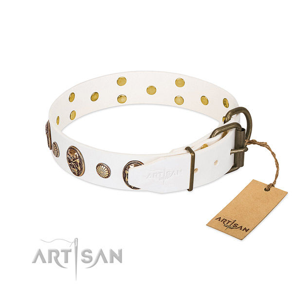 Rust-proof fittings on genuine leather collar for fancy walking your canine