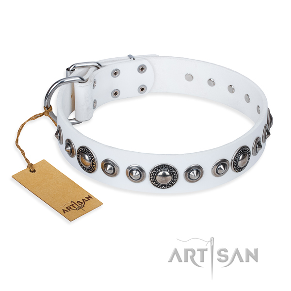 Full grain natural leather dog collar made of quality material with reliable traditional buckle