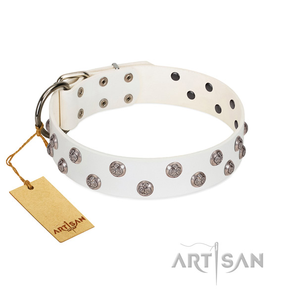 Designer full grain leather dog collar with rust resistant hardware