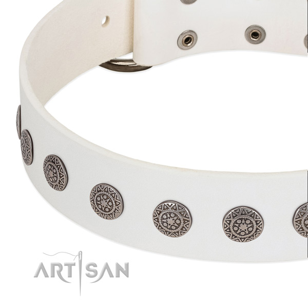 Convenient full grain leather collar with embellishments for your canine