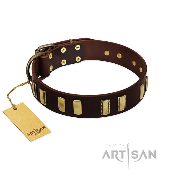 Flexible full grain leather dog collar with rust-proof fittings