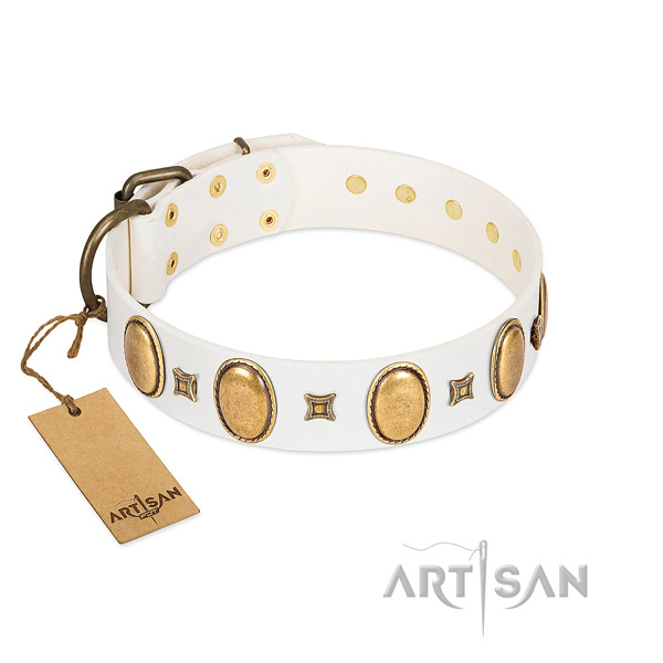 Leather dog collar with significant embellishments for stylish walking