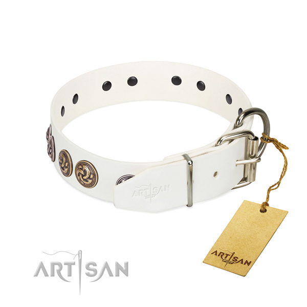 Rust-proof buckle on significant full grain natural leather dog collar