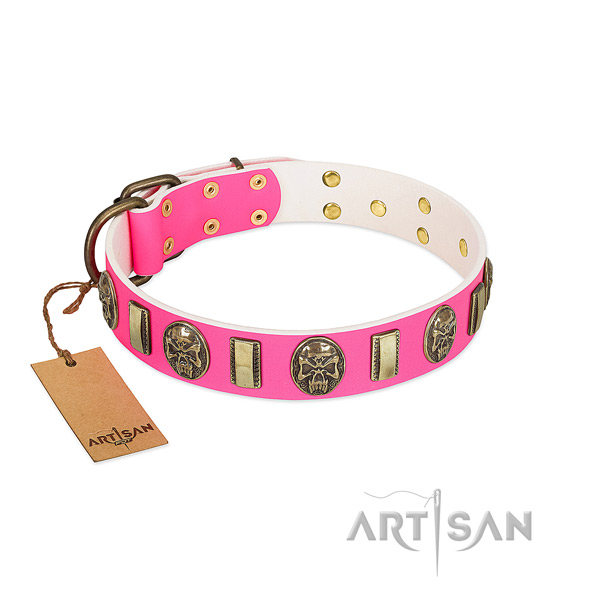Reliable studs on leather dog collar for your canine