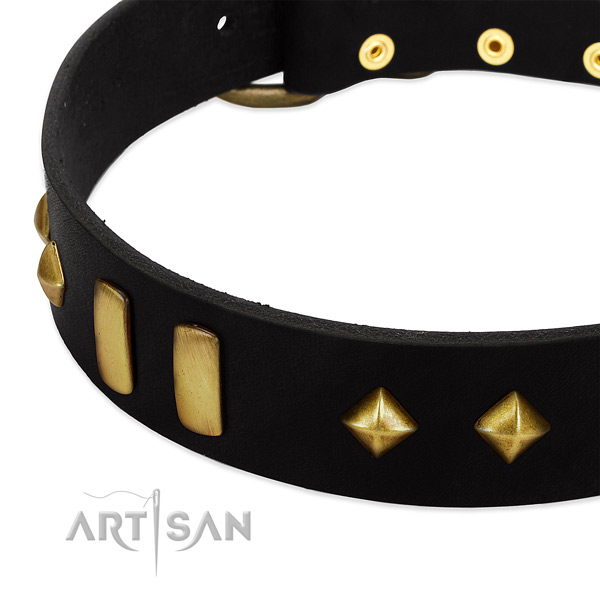 Flexible full grain natural leather dog collar with exquisite studs