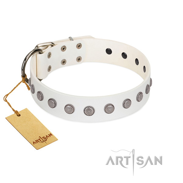 Awesome adornments on full grain leather collar for comfy wearing your doggie