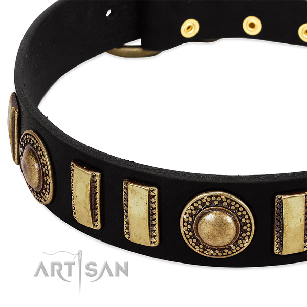 Quality genuine leather dog collar with rust-proof fittings