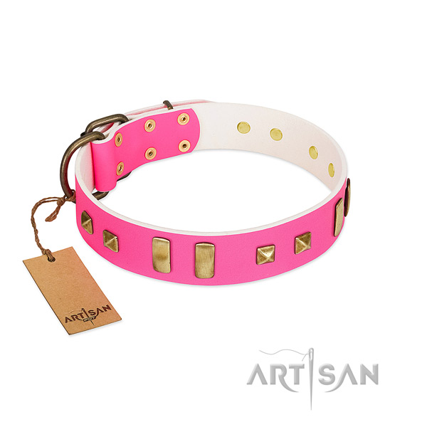 Rust-proof D-ring on dog collar for everyday use